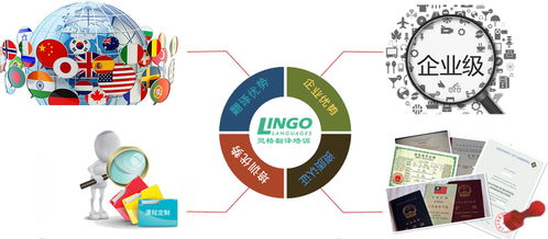 洛陽優質駐場韓語翻譯服務推薦